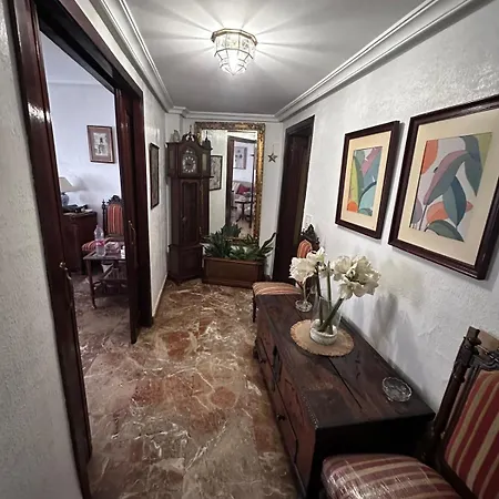 Amplio Plaza Nueva Apartment